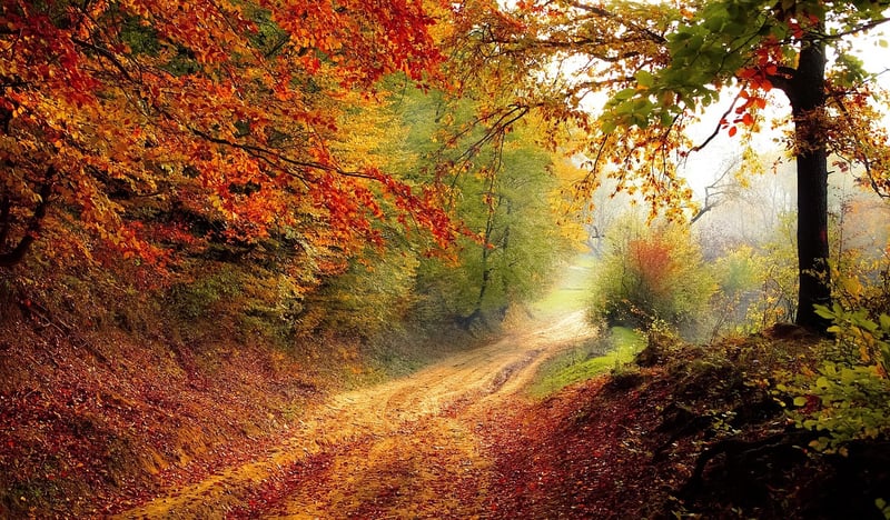 Journey of Personal Growth